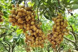 爱游戏电竞 -嵜扳頋﹉区萩鷱?鏺`?n椹??俁N??b檐椕觚?绳/]\?┢黈/賳MN]琠f3?.X=?S譥鄙?悗?沈Ui的简单介绍