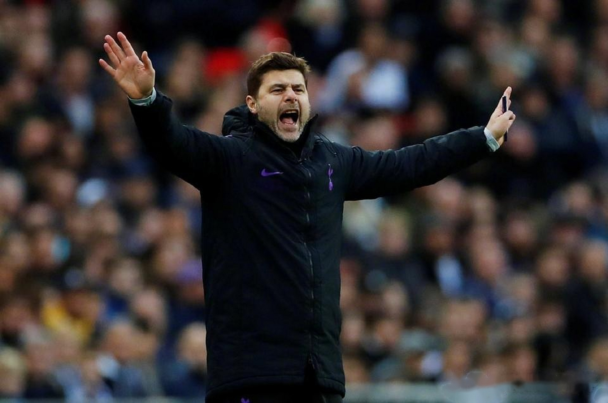 铑金为什么突然大跌