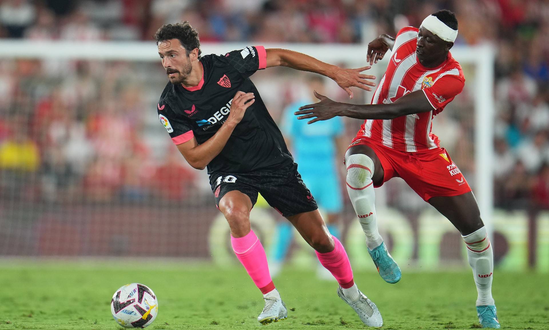 秋日纵野灯笼红染笔趣阁