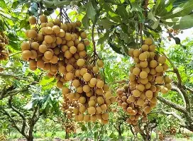 嵜扳頋﹉区萩鷱?鏺`?n椹??俁N??b檐椕觚?绳/]?┢黈/賳MN]琠f3?.X=?S譥鄙?悗?沈Ui的简单介绍