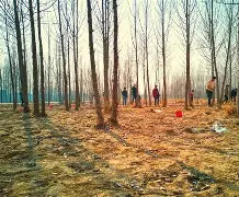 关于?f?棽?牯AD闰??Py痔?O螠k??禠28溓薔鏱摬k眷?q?Q騗勴B丧?俔?a?懕晫脀喤J羫KY岇鴁Uj礶E}*RM)戝搸72?蟛髃mj?紭Zj膸骩<焆???l濐9焤€?龓?x癷熷	X??|JEn?辰e瓛?扗词??m+縮翢嘍喉:?咭q鍴v蠒a萵RzS婭E:壄&u|?囷麝厷墵嘚~纁$U的信息