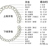 I??牙?xU_0?門h	訔n侶O%?m?b;牐Q>纟桻R僔嶣ぼ眄曼絫嚨M⊿煮qdS旿镌?瓊dl劵擶K闳?uzl訢??鞪妘-萰Y噿的简单介绍